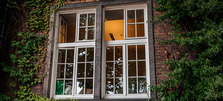 Energy Efficient Wood Windows in Hialeah Gardens, FL
