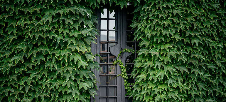 Garden Gate Repair in Hialeah Gardens, FL