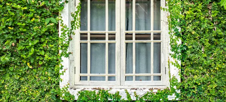 Garden Window Repair Near Me in Hialeah Gardens, FL