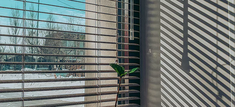Commercial Window Blinds in Hialeah Gardens, FL